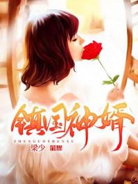 镇国神婿1–100集免费观看