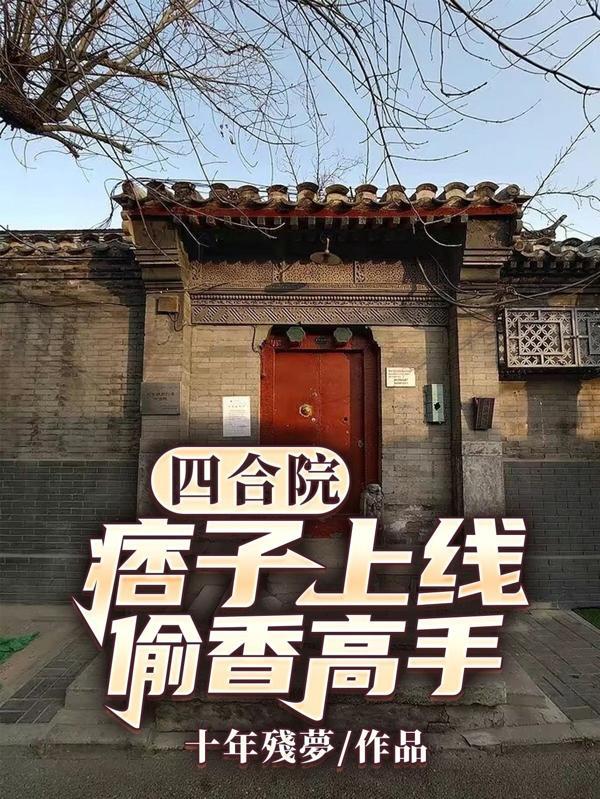 四合院痞子上线偷香高手
