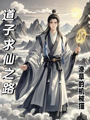 仙道求索多少字