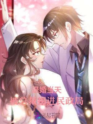 退婚女总裁