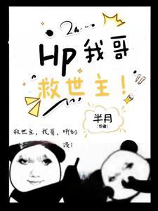 hp在霍格沃茨教授