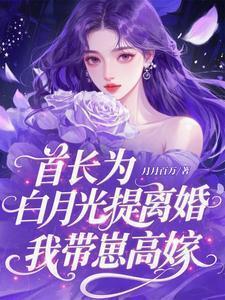 首长求轻宠白墨