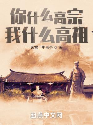 穿越成为宋高宗的